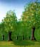 Tree Planting