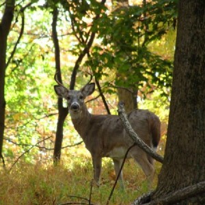 Don Hartman Conservation Leadership School