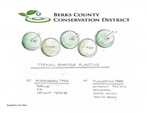 Typical Border Planting Design
