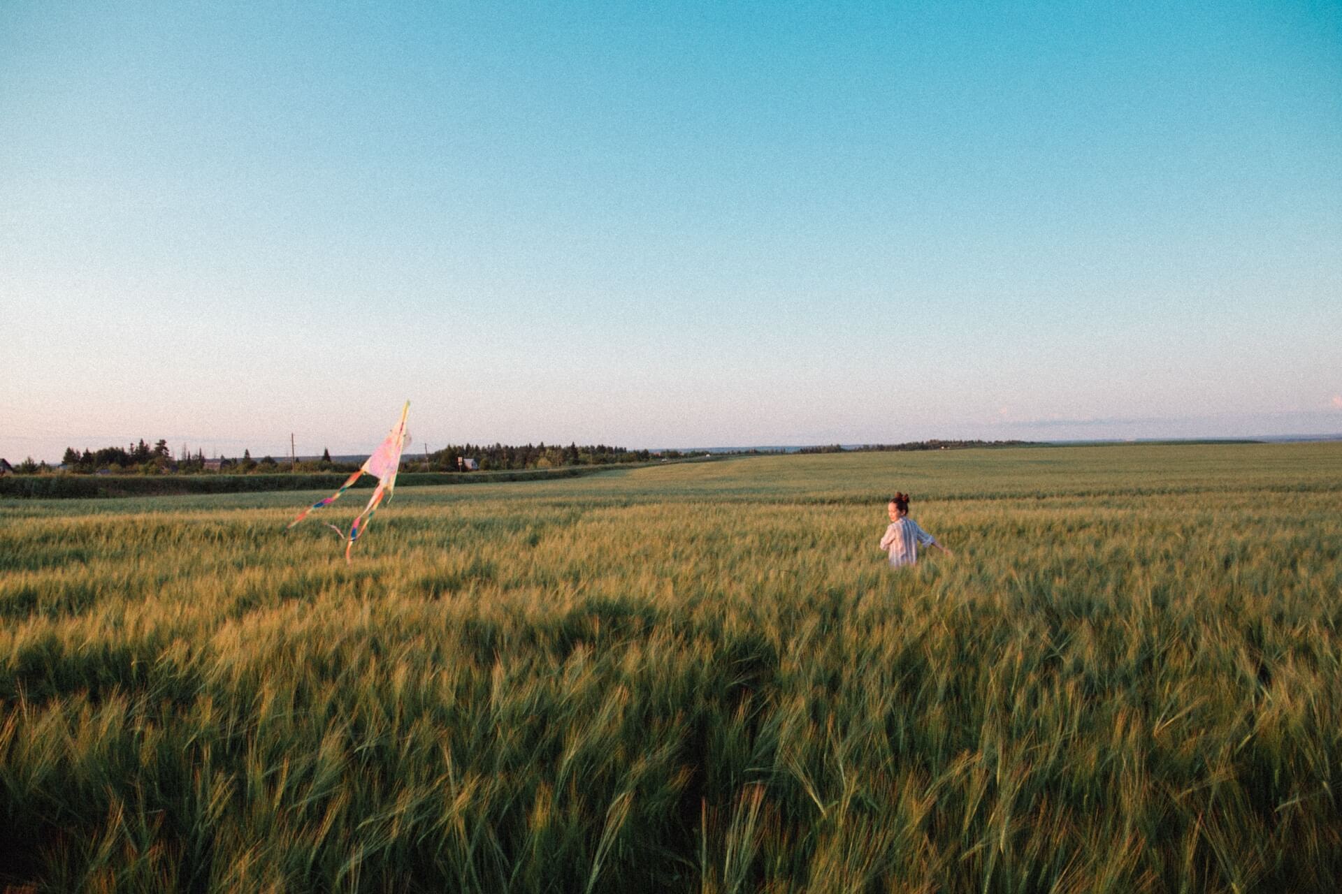 Flying kite in field
