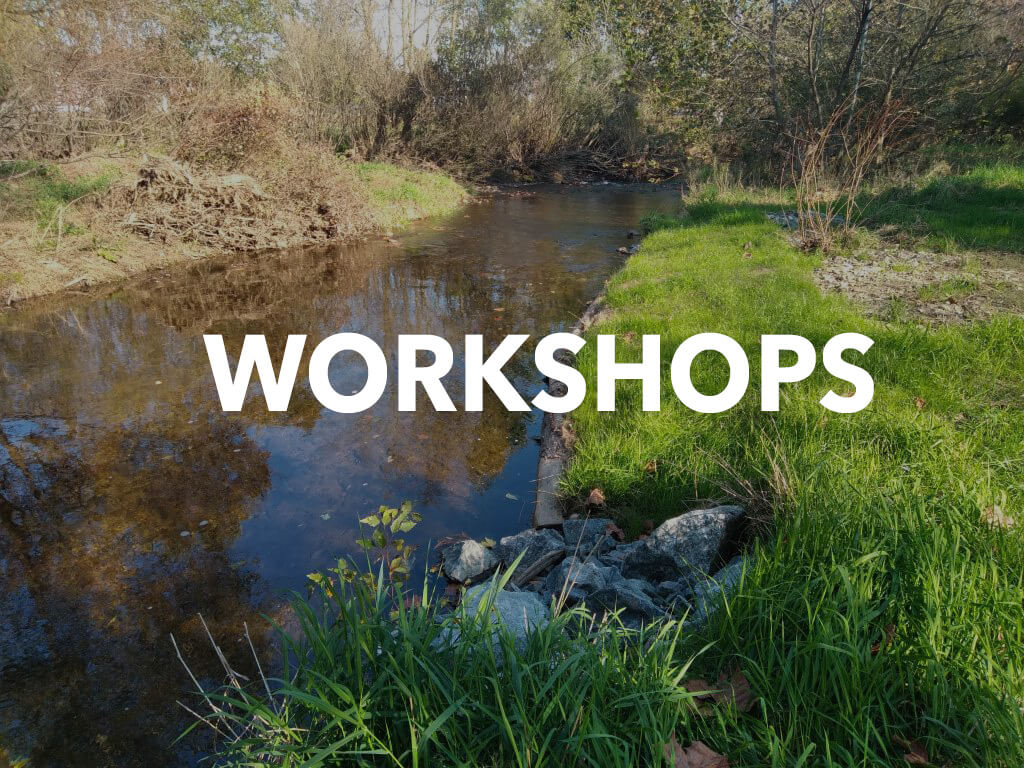 Stream Image with the word Workshops